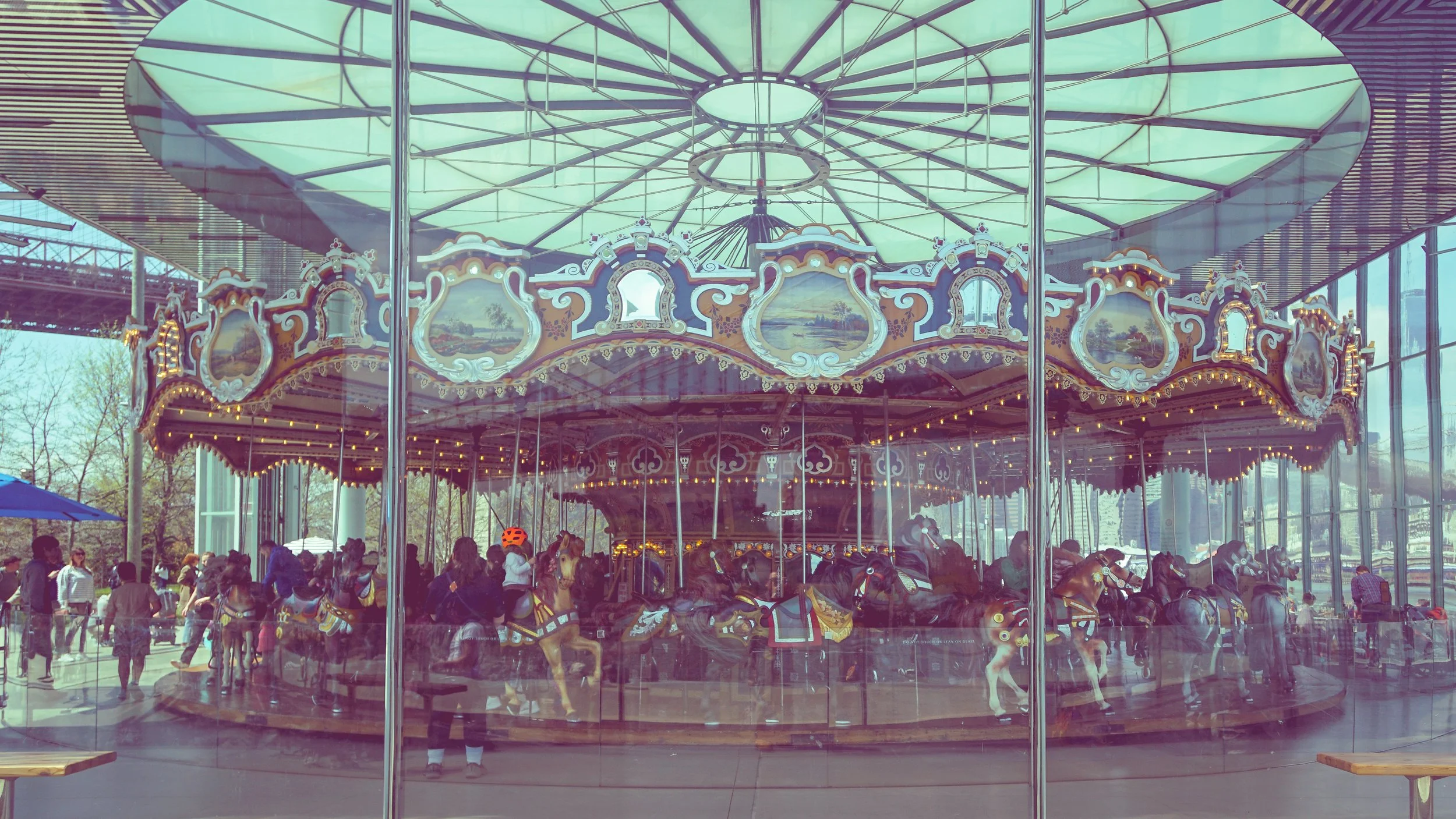 DSC00792.jpg