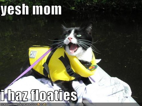 lolcat_mother'sday2014-3.jpg