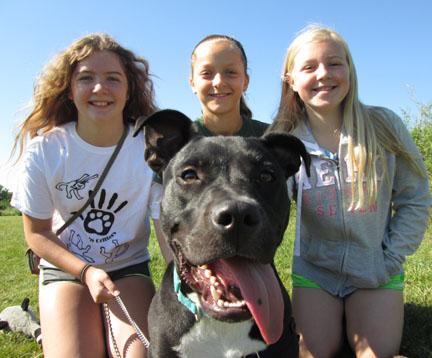 This year at Kids ‘n Critters Camp Chato was a kids favorite. They taught him so much and he was a stellar student! He was easy to train and eager to please. Chato is a young male pit bull mix that is looking for a forever home today so stop by HAWS today to meet this obedience superstar!
