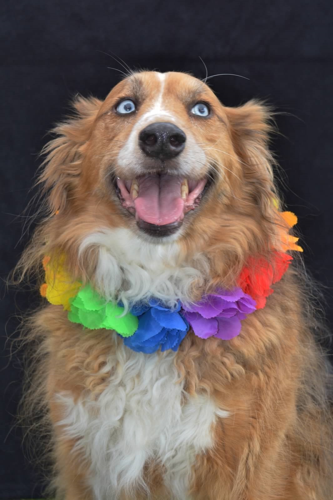 Taffy says, "It's party time!!"
