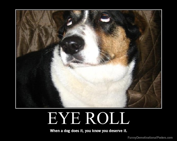 loldog_eyeroll.jpeg
