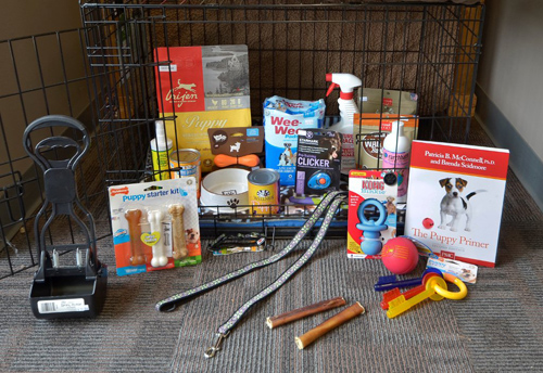 End of the Leash has everything you need to welcome home your new puppy and make her transition comfortable.