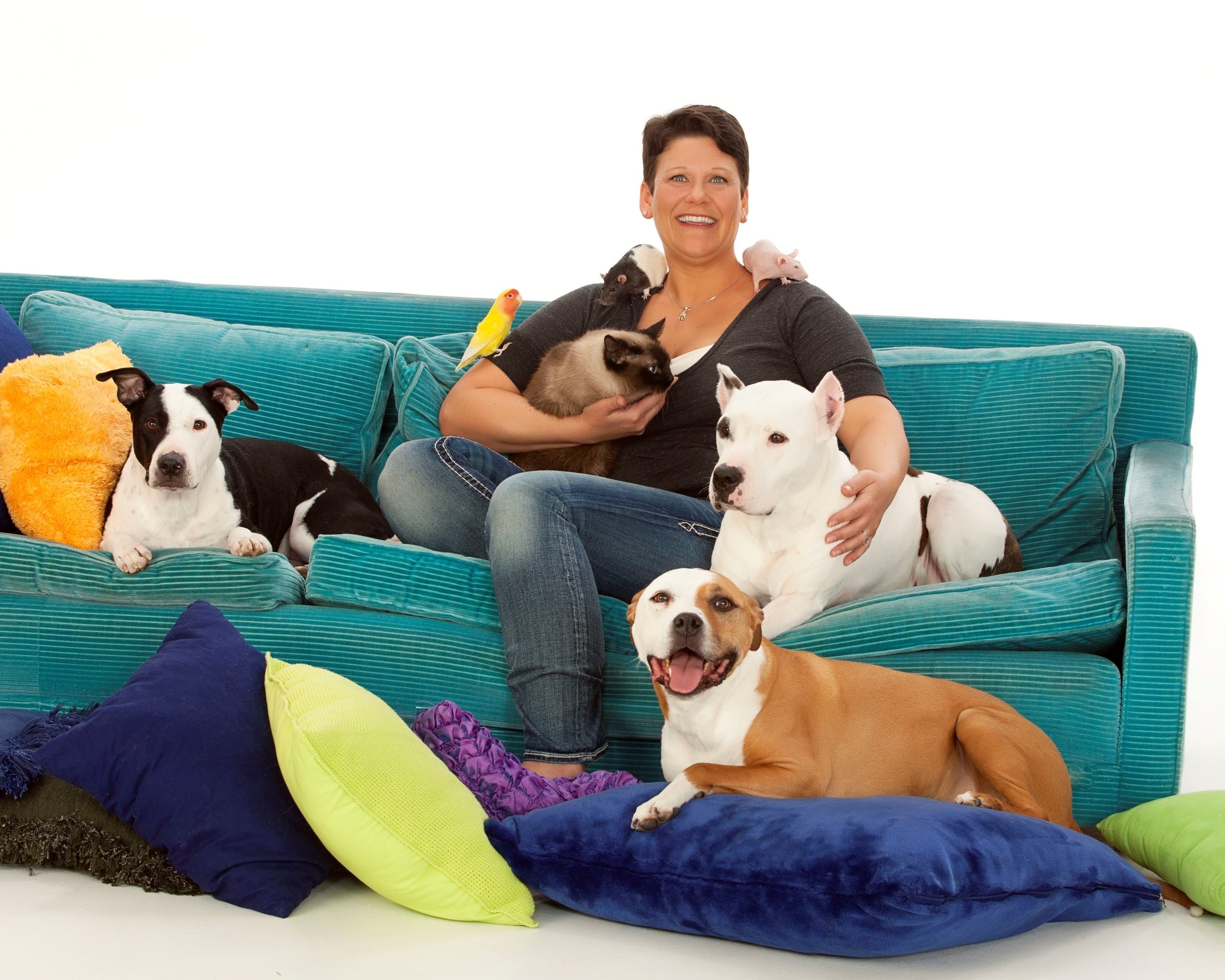 Dr. Melissa Shelton, founder of animalEO and owner of Crow River Animal Hospital & Dental Clinic in Howard Lake, MN, is an internationally recognized holistic veterinarian who specializes in using medical grade essential oils for complete and natural care of all animals.