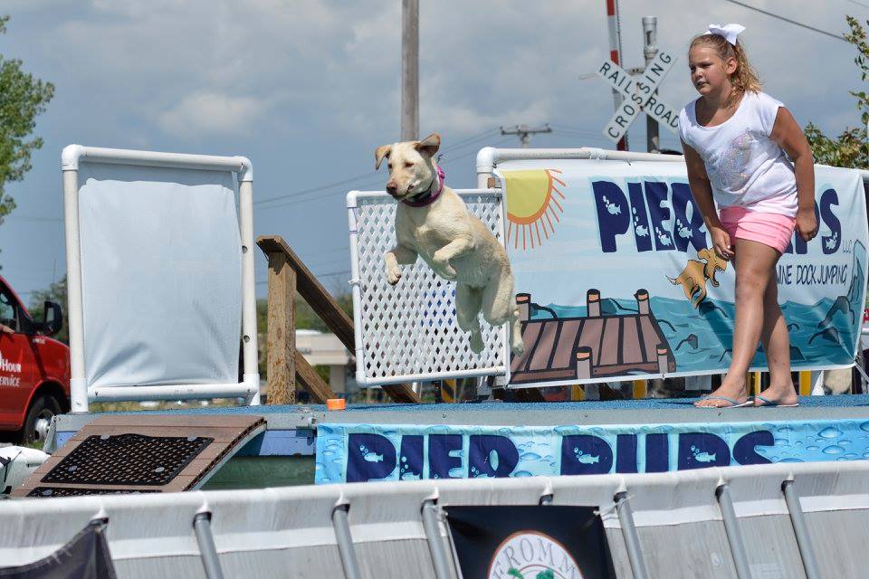  Register your pup for Pier Pups dock diving! &nbsp; 