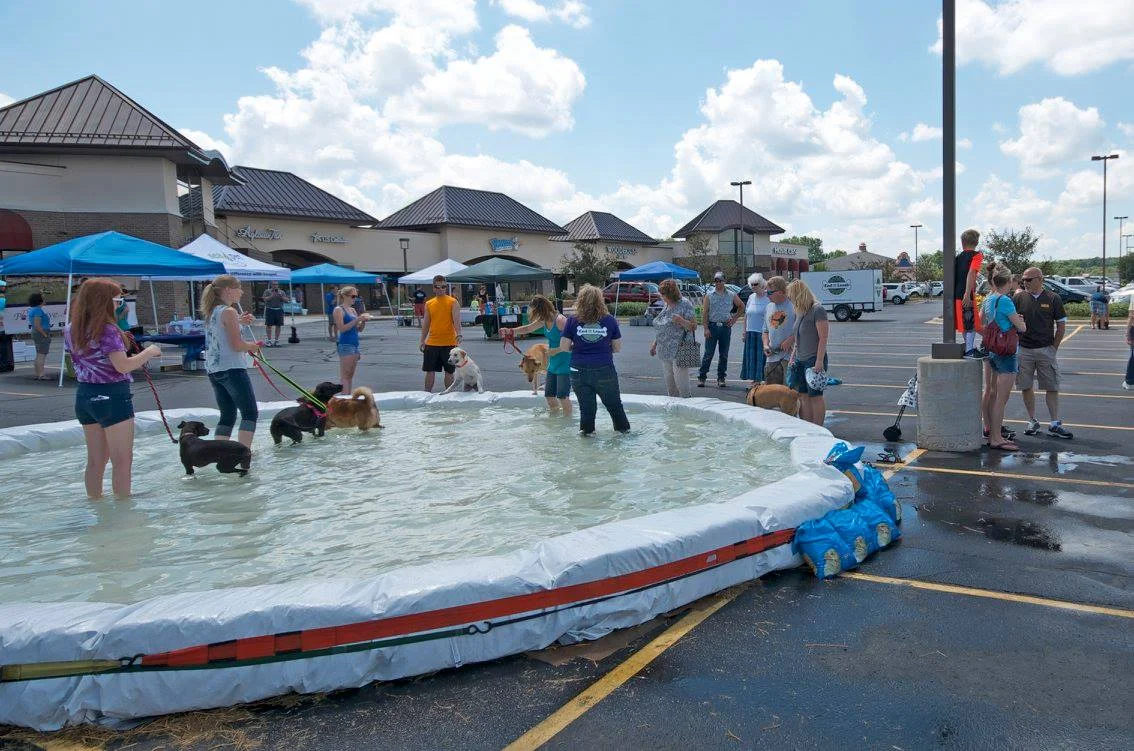 Our Summer Event from 2016!
