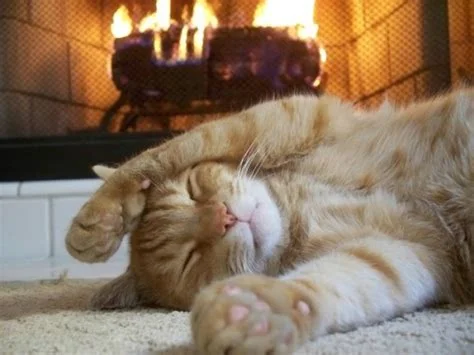 warmkitty.jpg