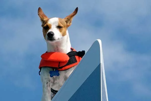 boating.jpg