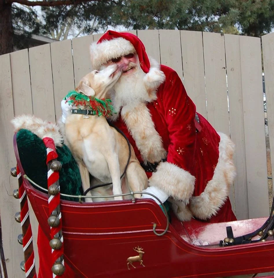 SantaPaws2018.jpg