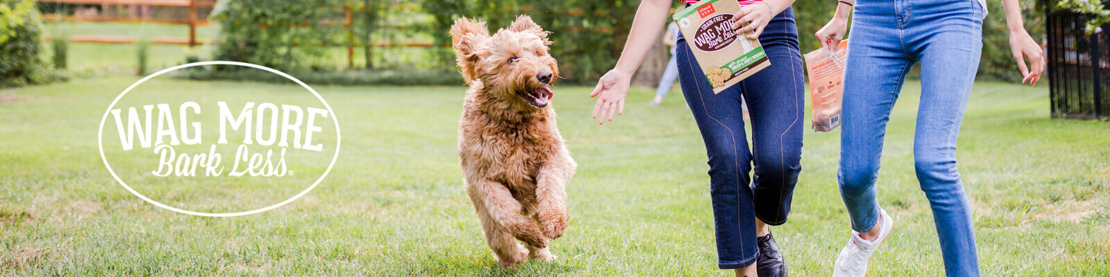WagMoreBarkLess logo.jpg
