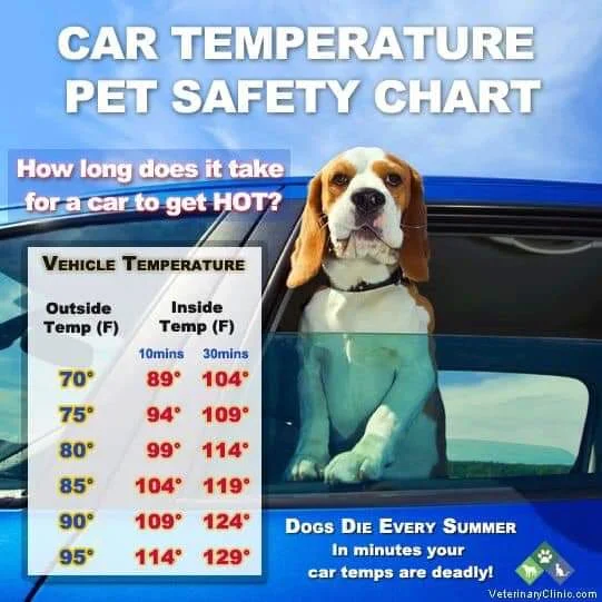 cartempchart.jpg