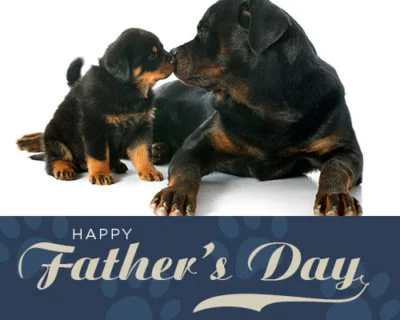 fathersday2.jpg