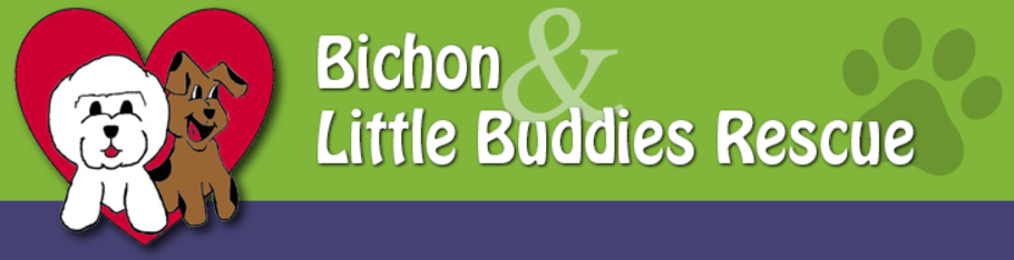 Bichon-&-Little-Buddies-log.png