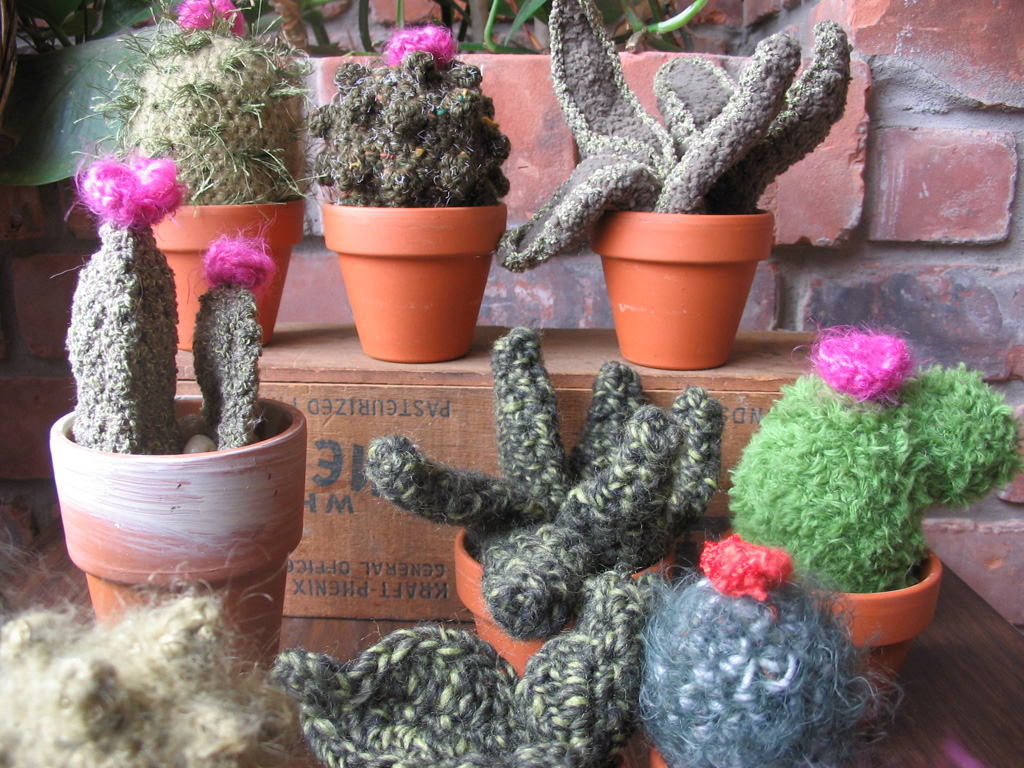 cacti_group3.jpg