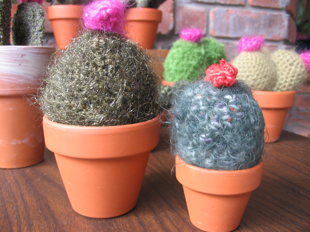 cacti_pair.jpg