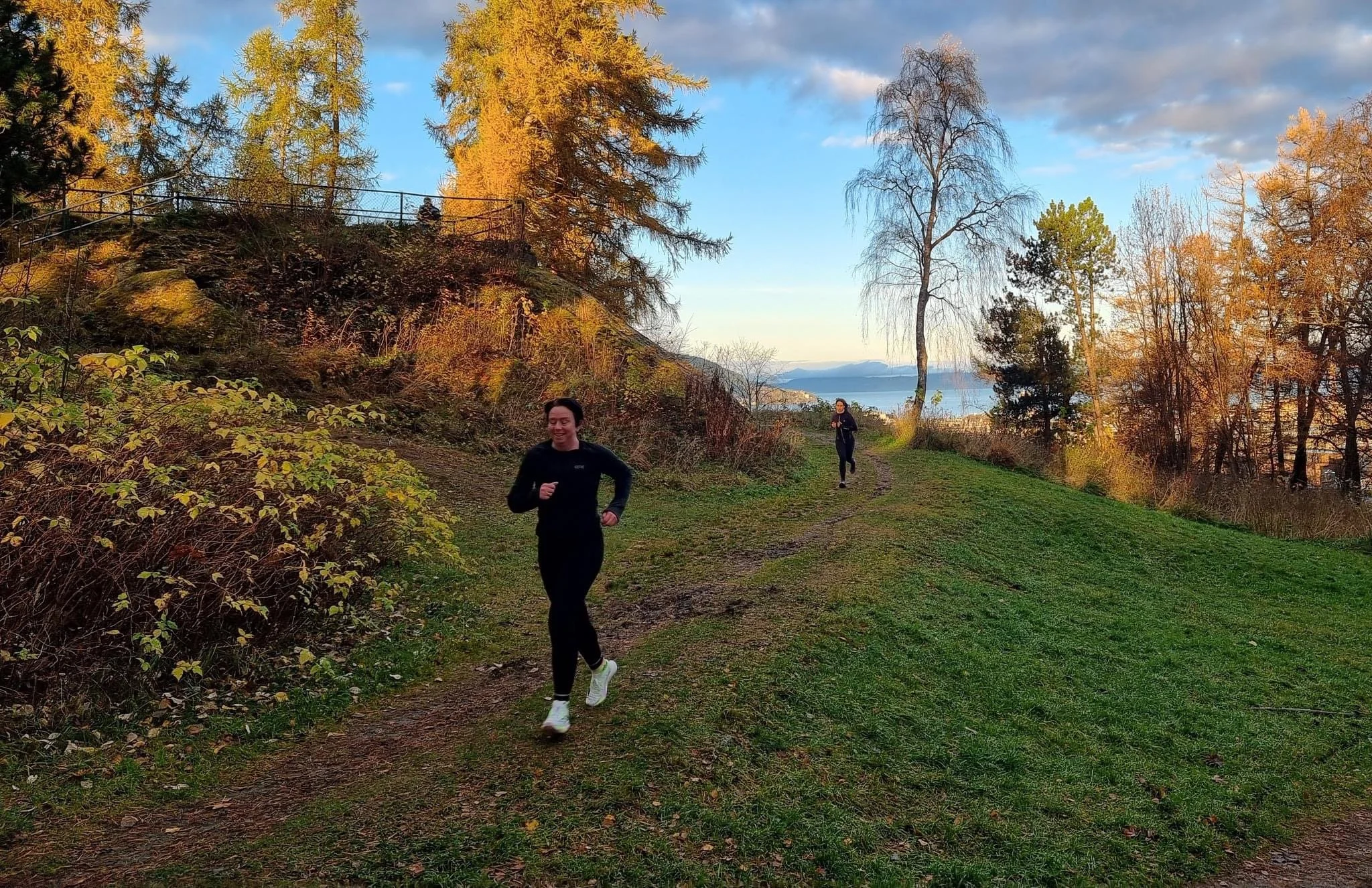 Hamstring til besvær