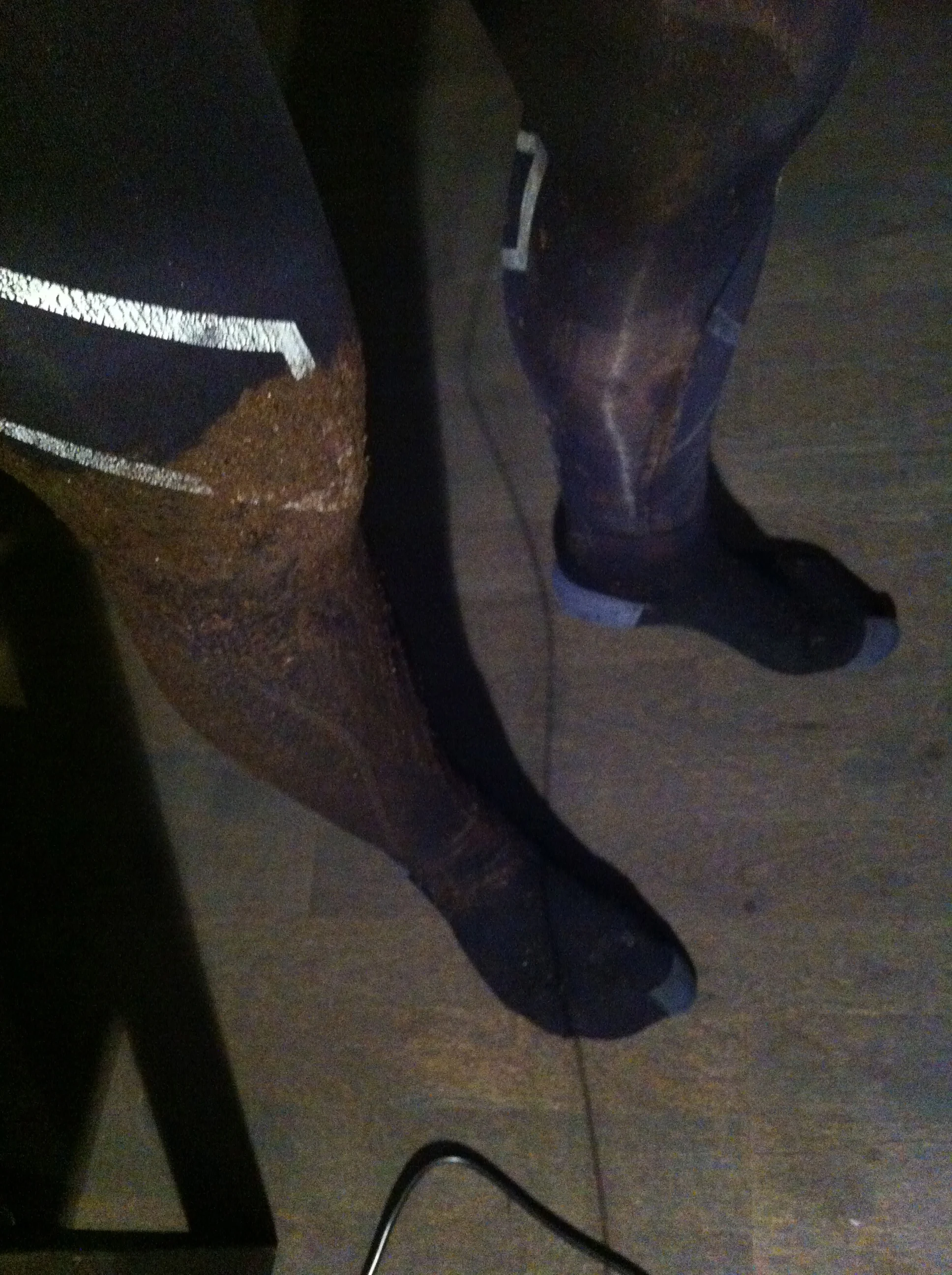 Gjørmete 2XU tights. Lav babefaktor eller hva Hege?