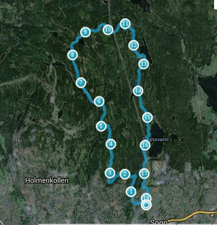 Nesten 18 km på blå og rød sti med Synne en mandag er helt ålreit!