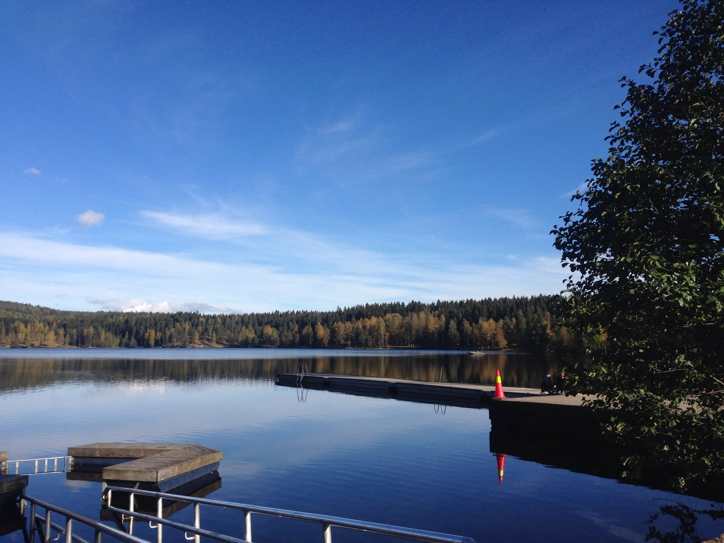 Sognsvann i høstsola i dag