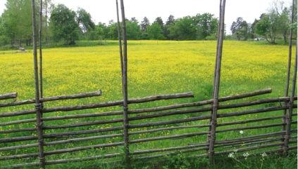 Fotorettigheter: www.falun.naturskyddsforeningen.se