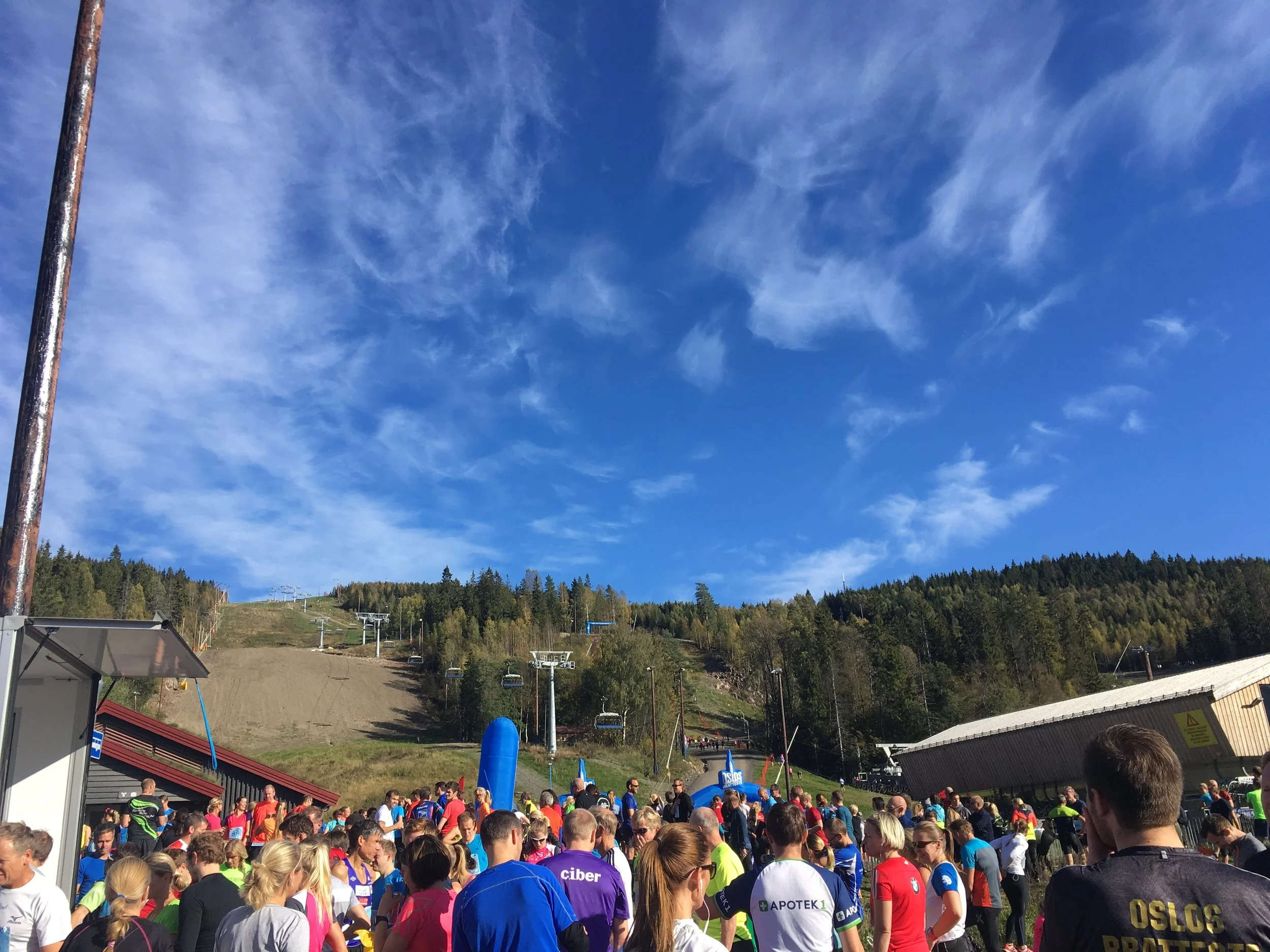 Oslos bratteste 2016