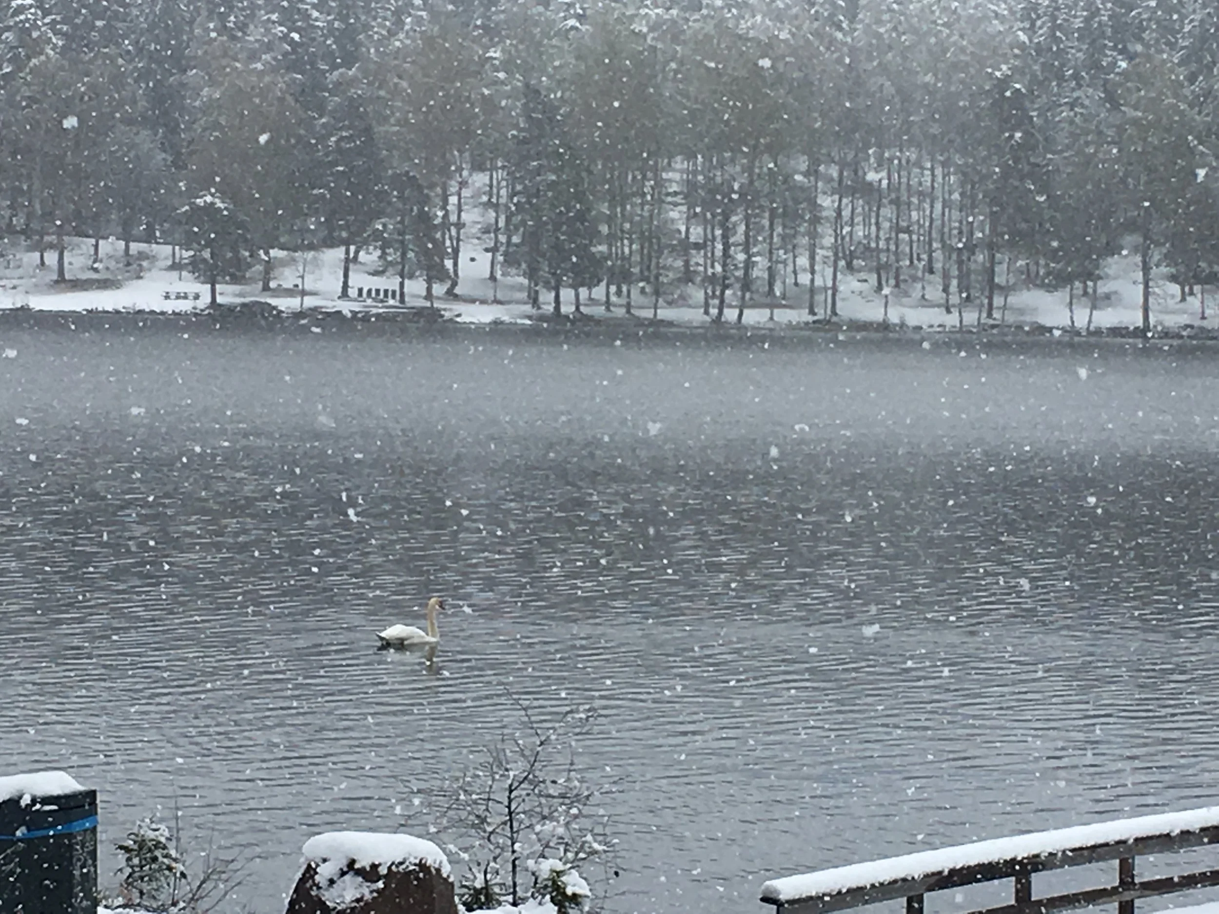 Som julekvelden på kjerringa
