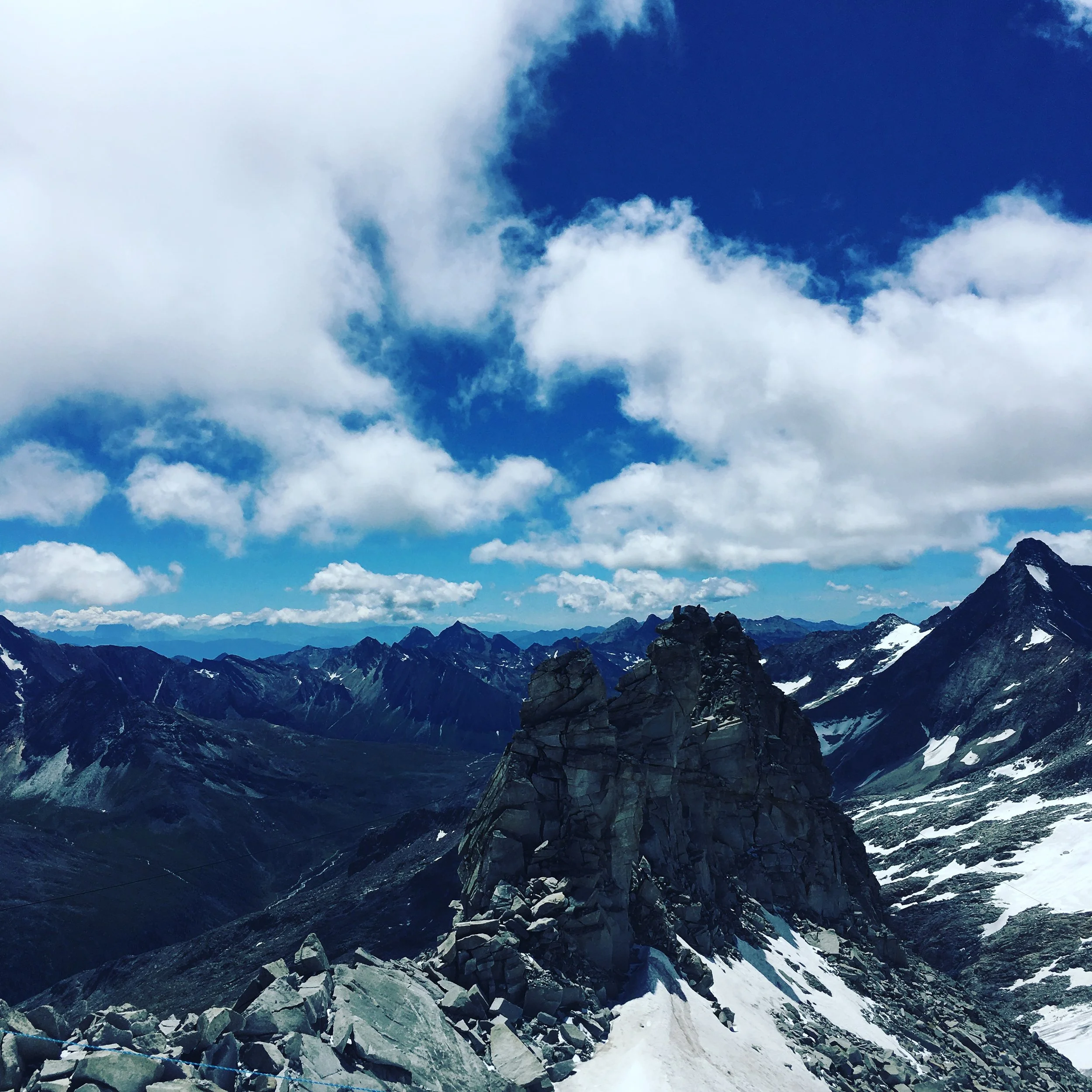Ned som en fell, opp som en bjørn