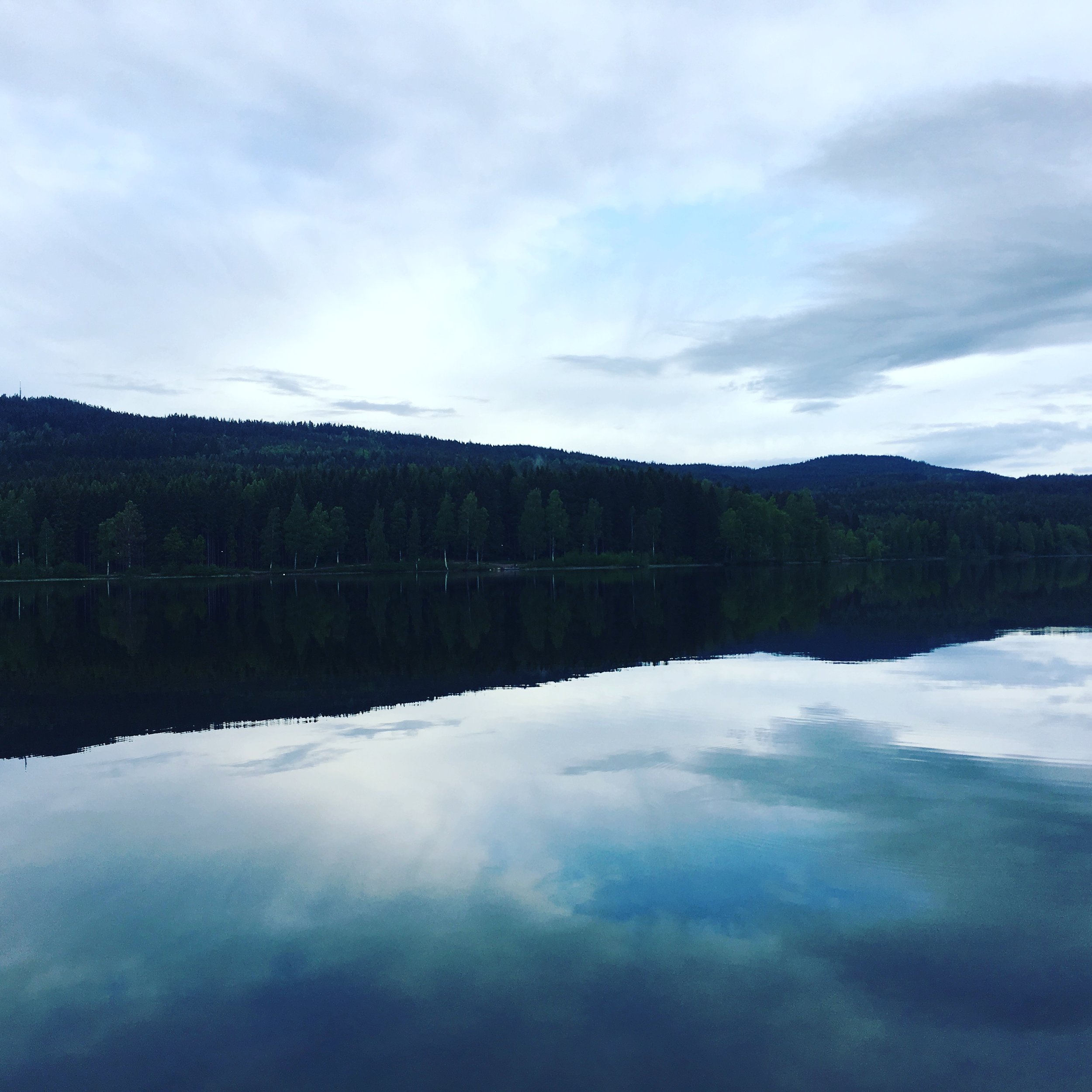 2017. Året som gikk åt SKOGEN