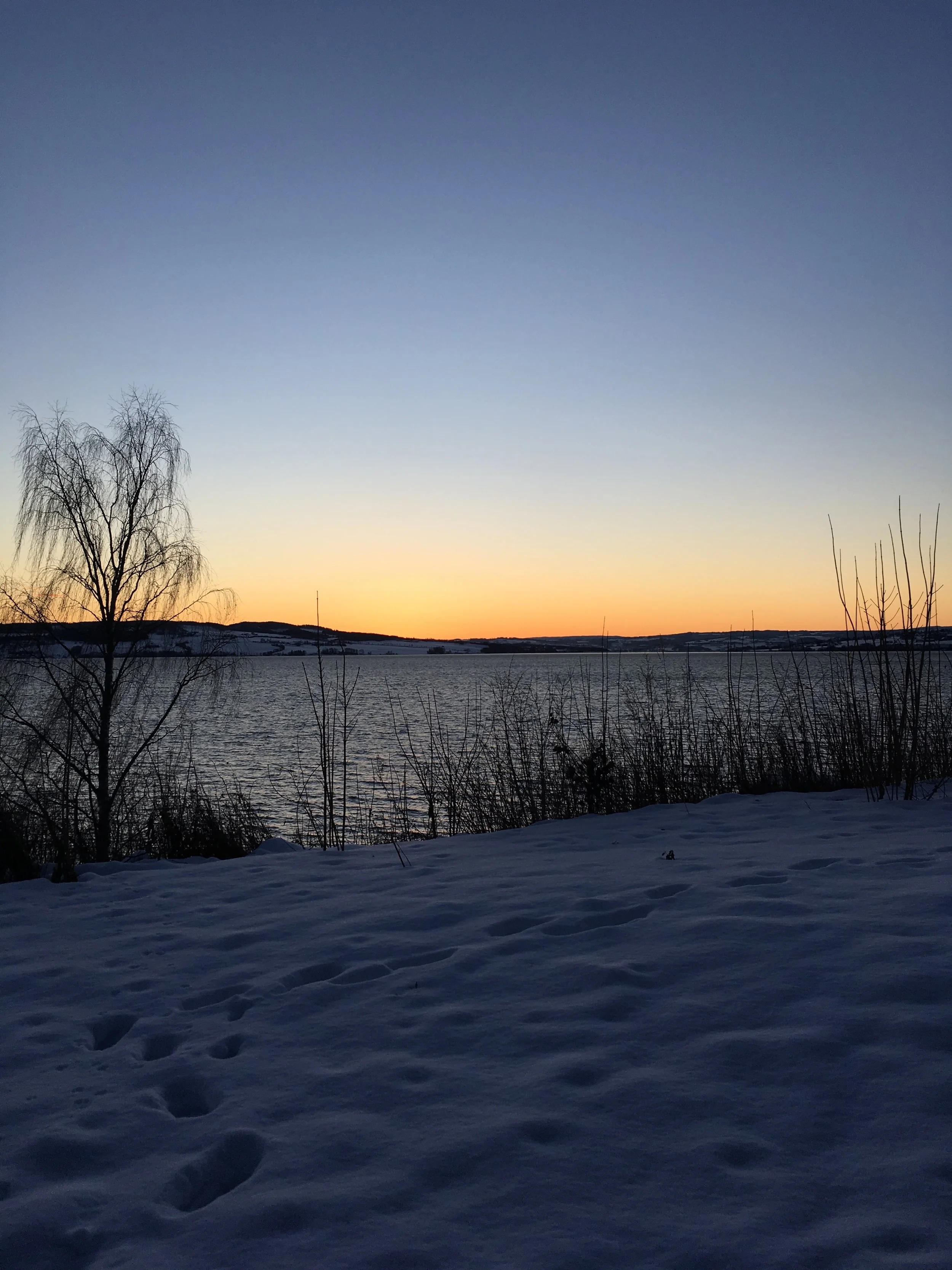 En salat til besvær og andre ting som skjedde på Hamar