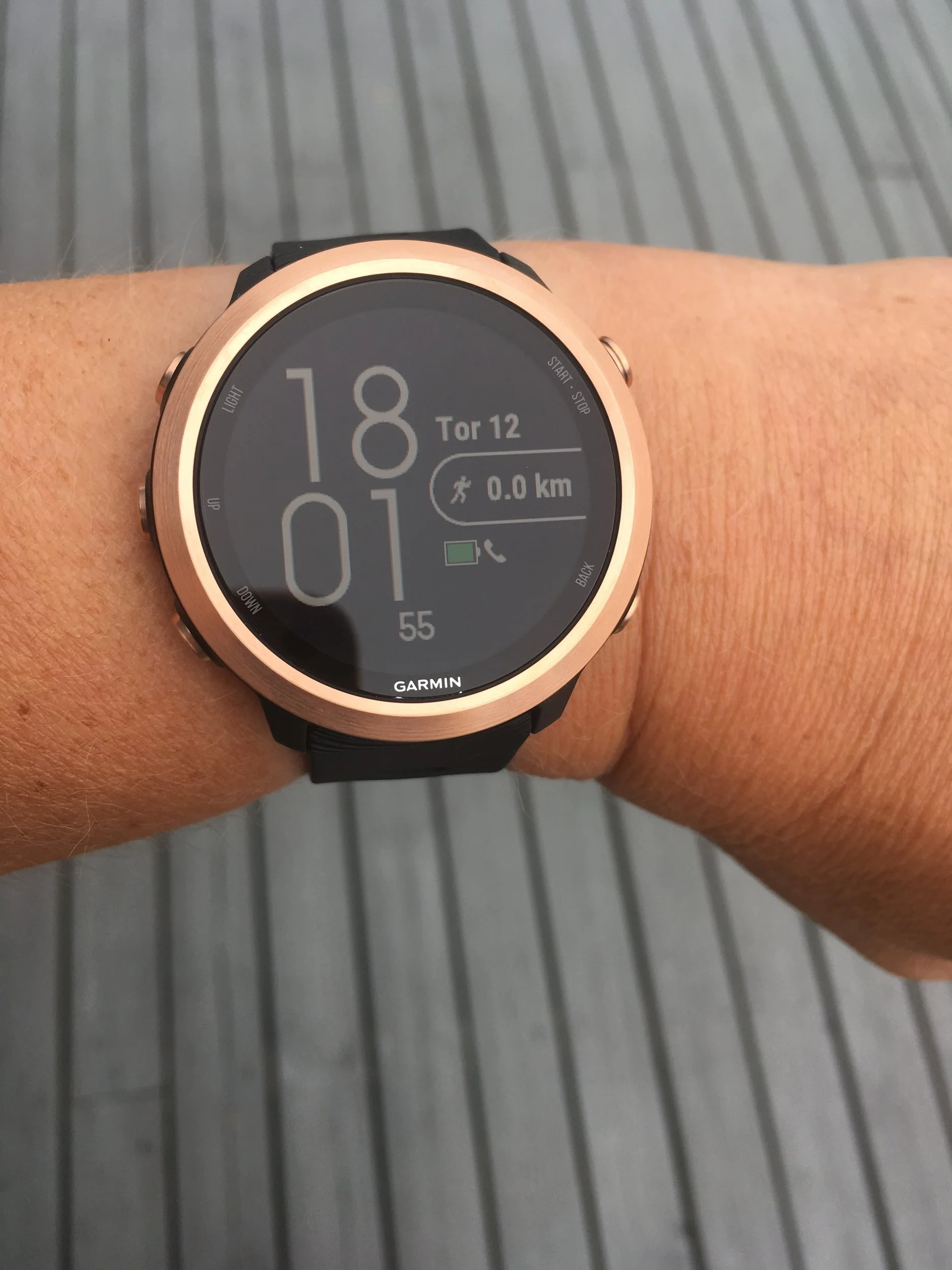 Forerunner 645 Music