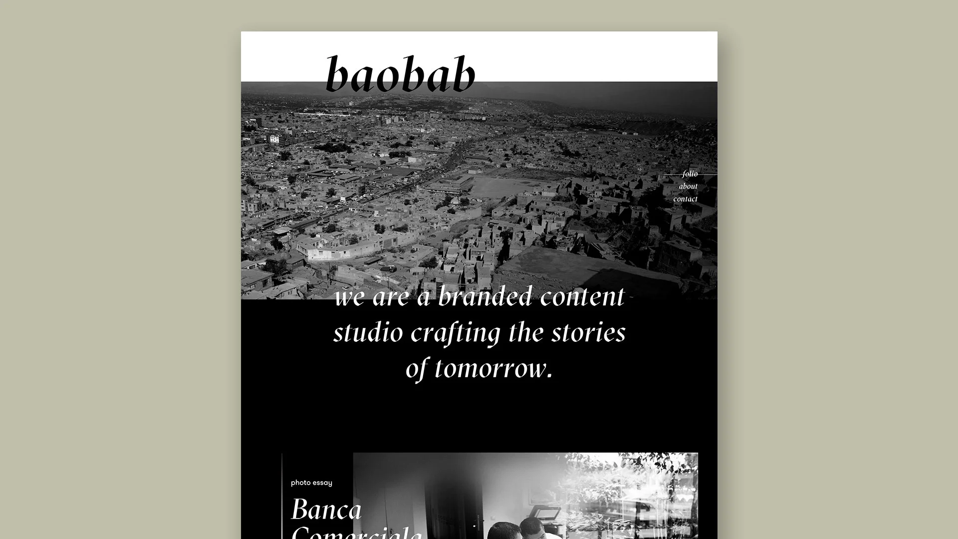 baoba2.jpg
