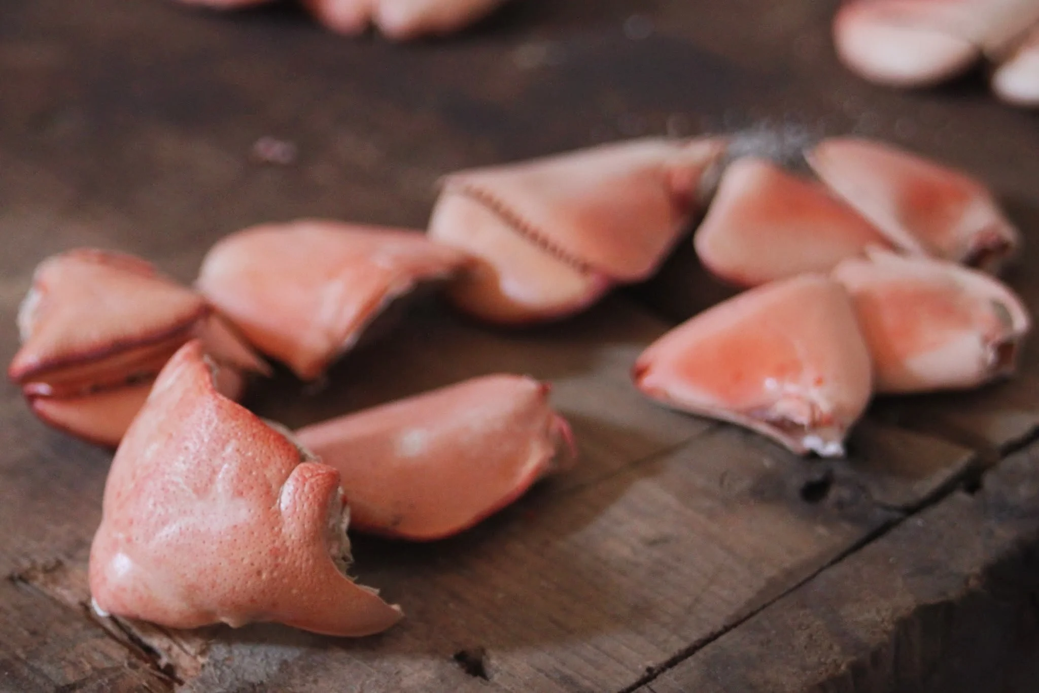 lobstah pieces prepped.jpg