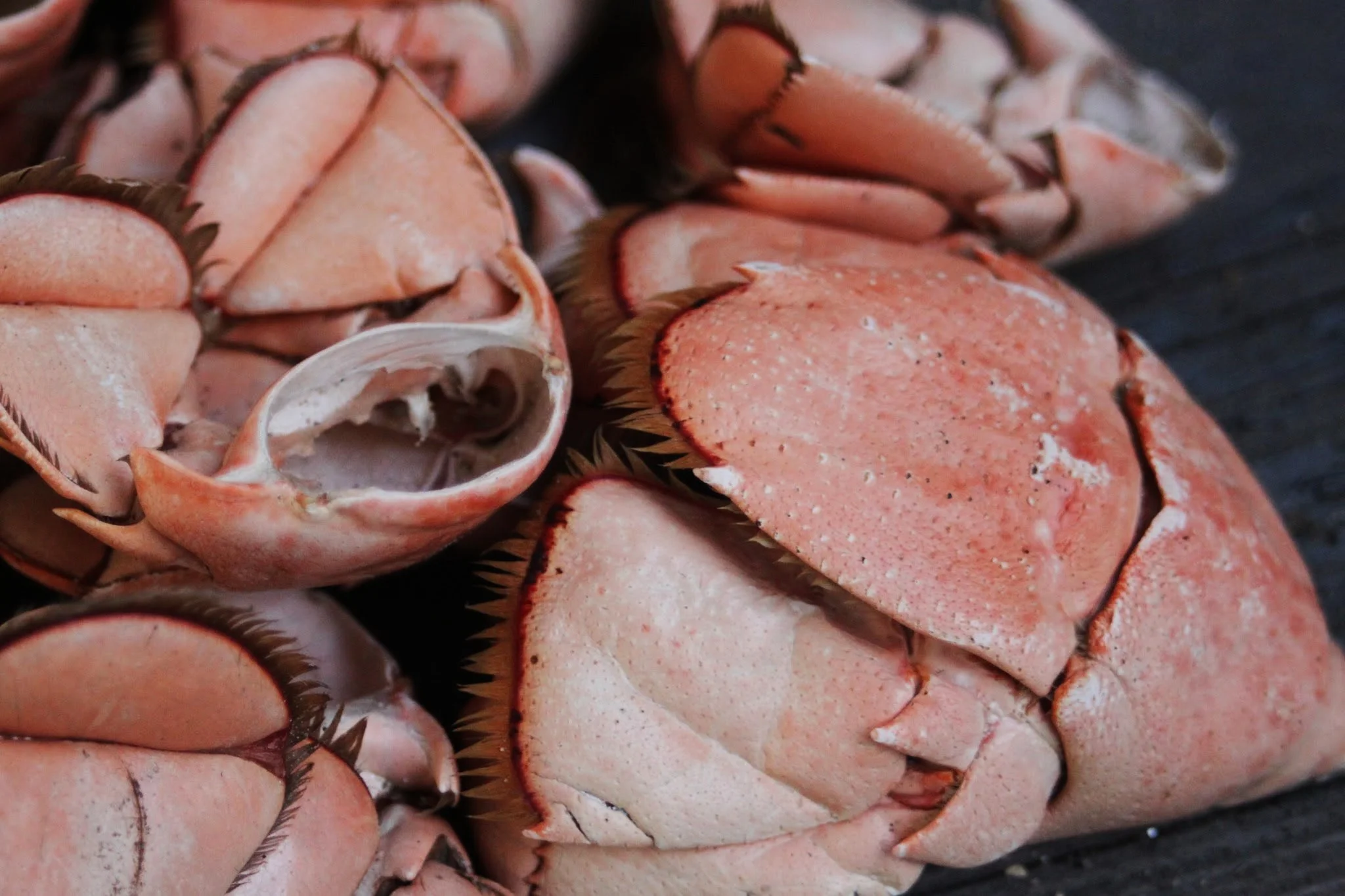 lobstah tail parts closeup.jpg