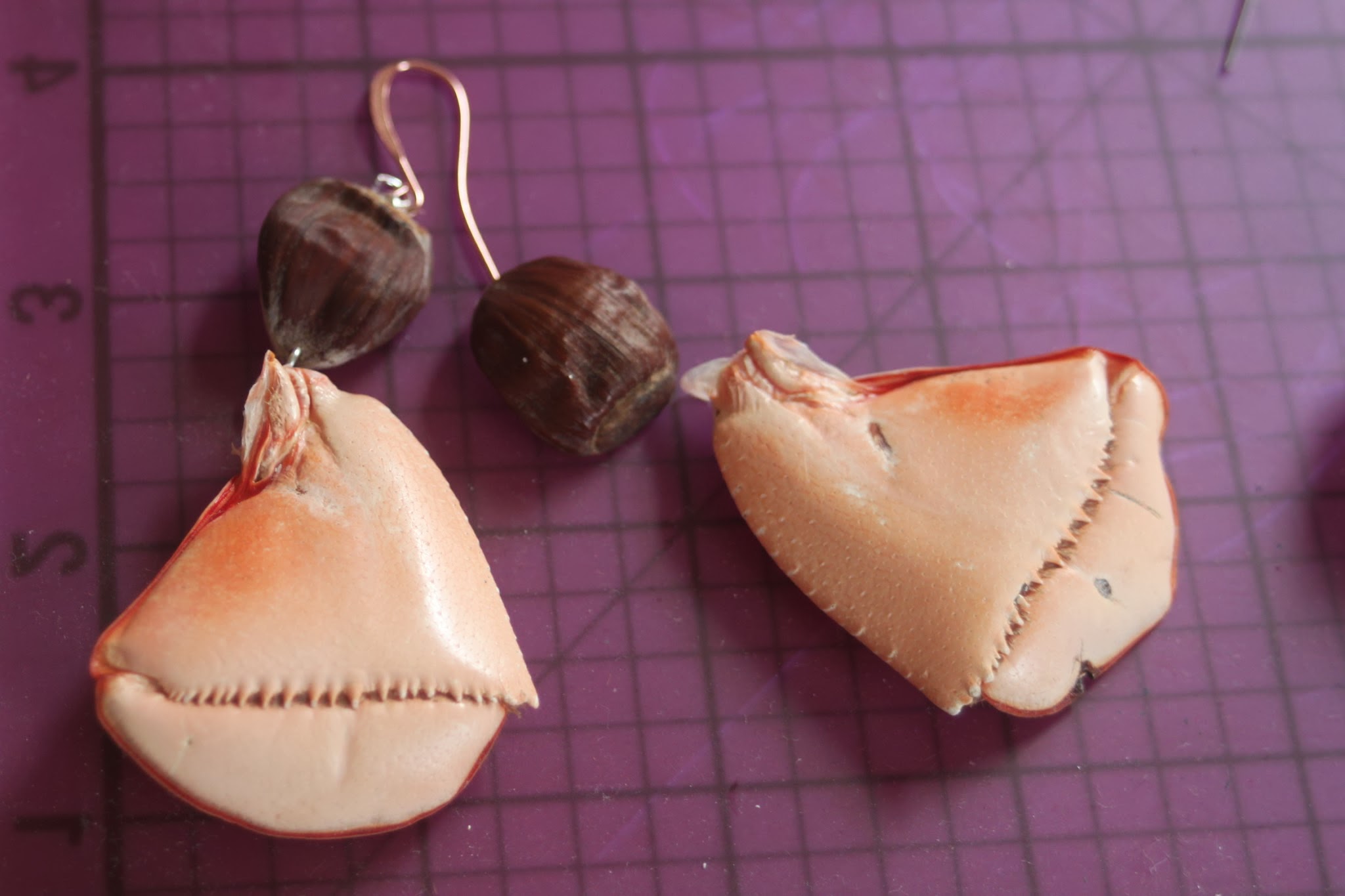 pair of earrings.jpg