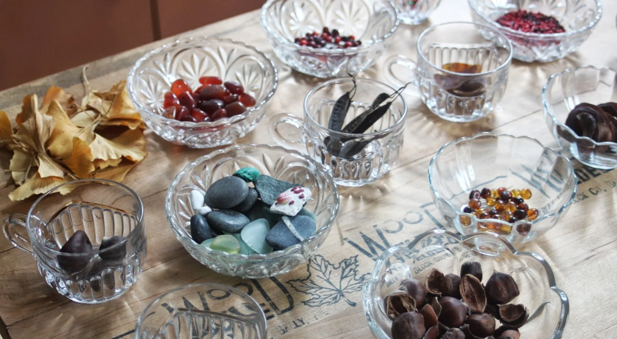supplies in bowls.jpg