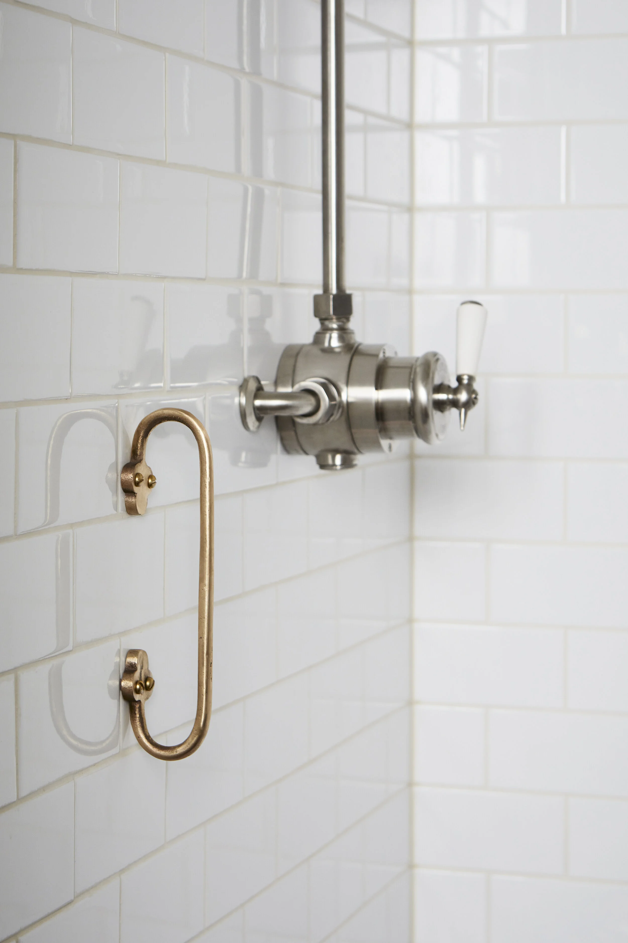 Cast bronze shower handrail