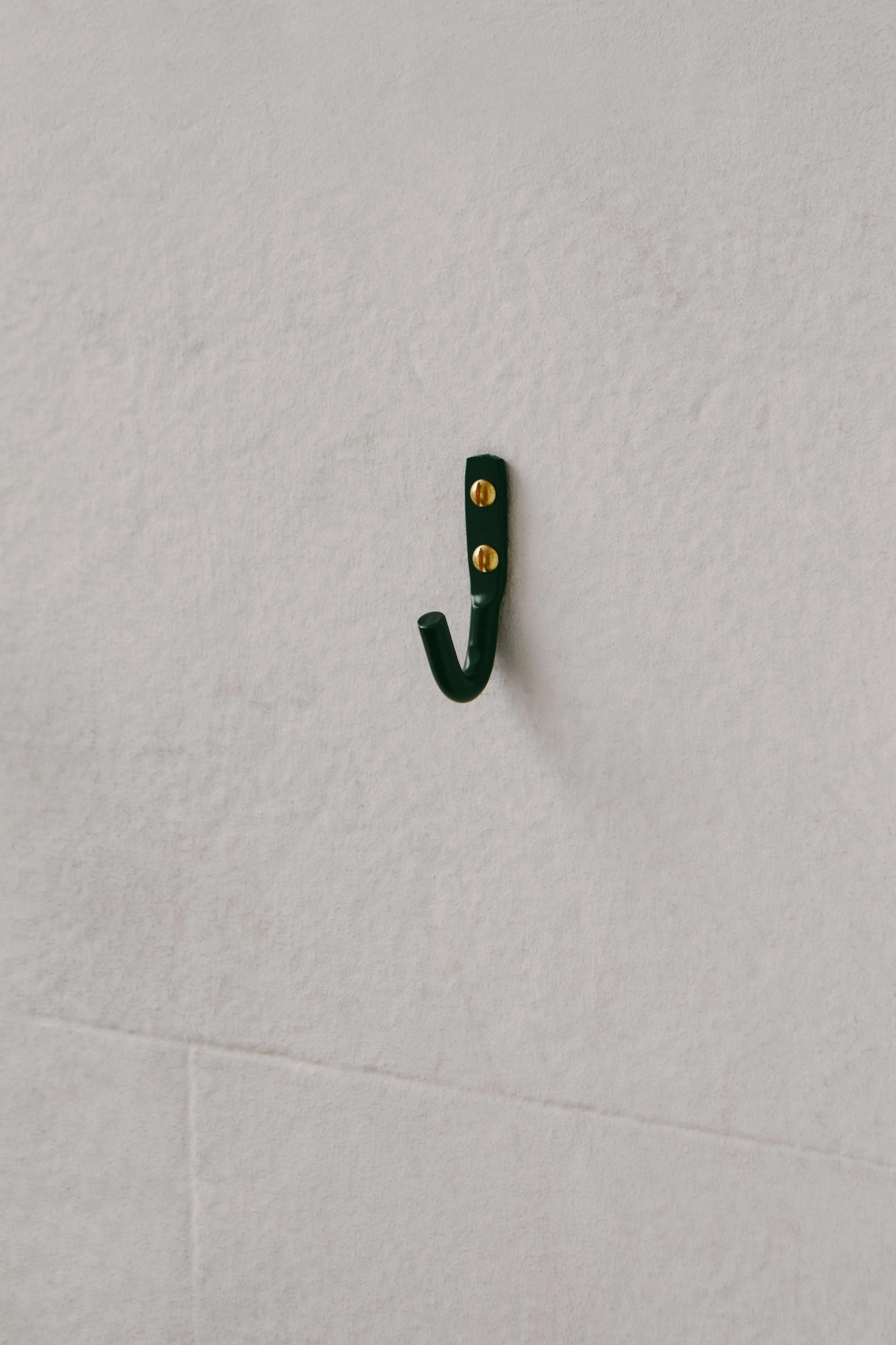 green-hook-pantone-5605-powder-enamelled-wall-hardware.jpg