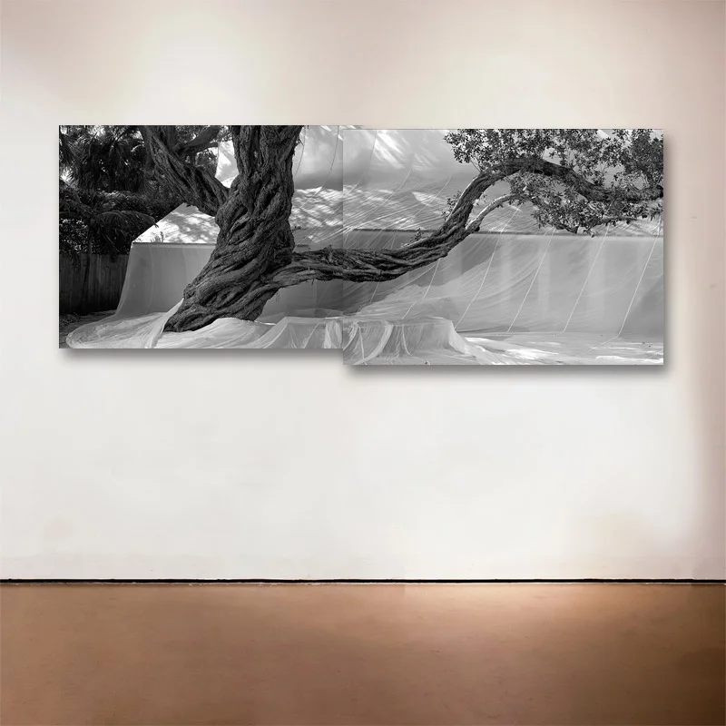 Buttonwood Trees Diptych , 2016 Medium: Sublimation on Aluminum Dimensions: 23 x 60 inches (23 x 30 inches each) Edition of 9 + 2 Artist Proofs