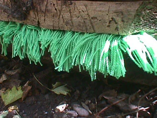 greenyarn2.jpg