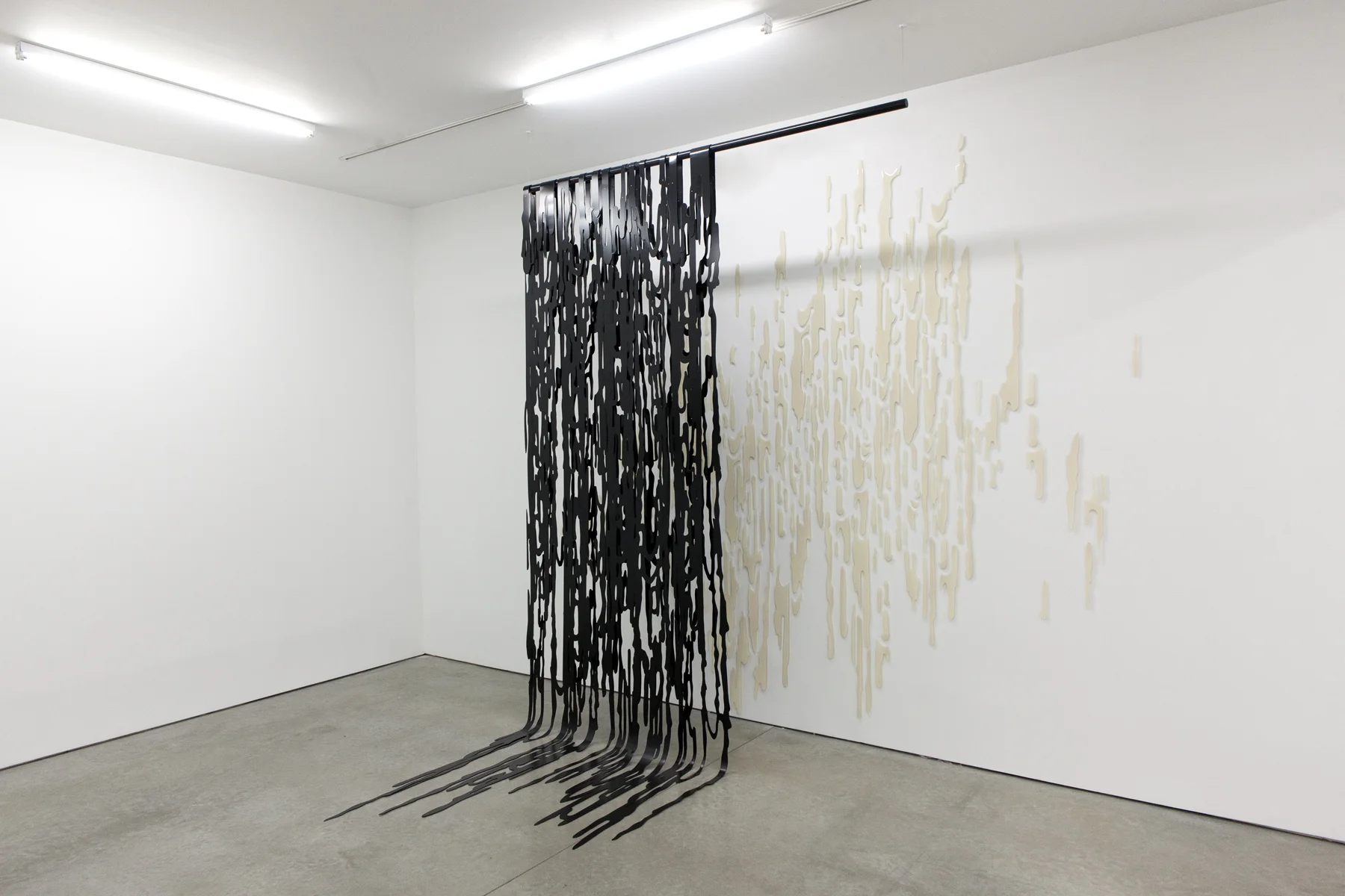 Flag Fall (installation view) Shadow Bones (installation view)