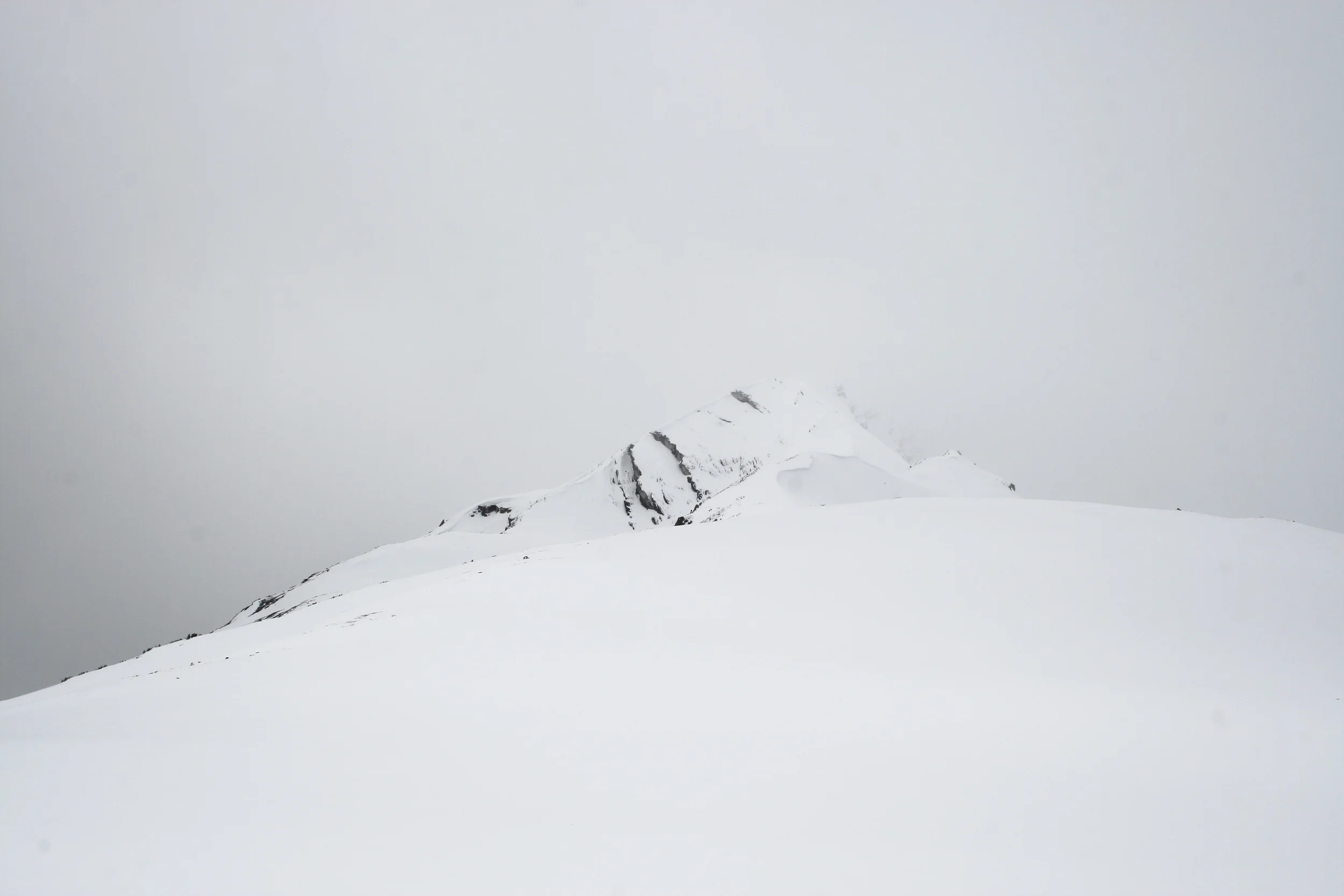 IMG_9199 copy.JPG