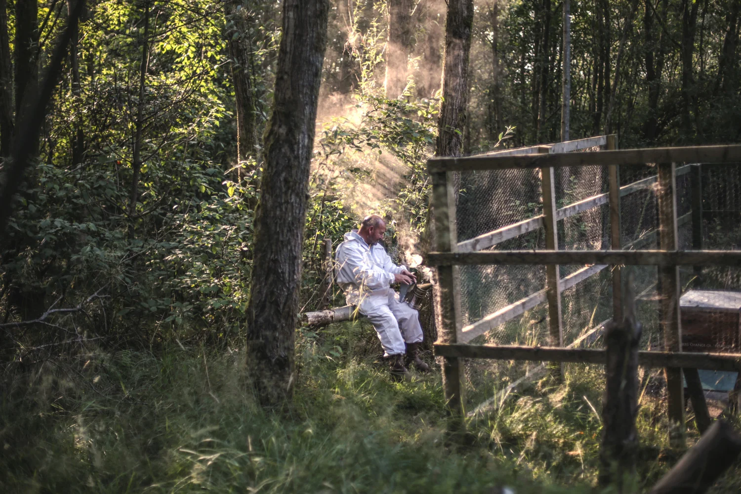 The Bee Library — HANNAH DEVEREUX