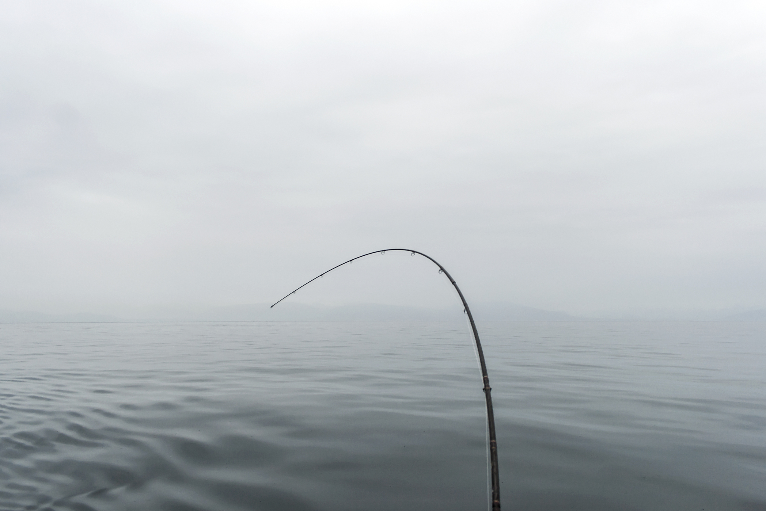 static1.squarespace-3.jpg