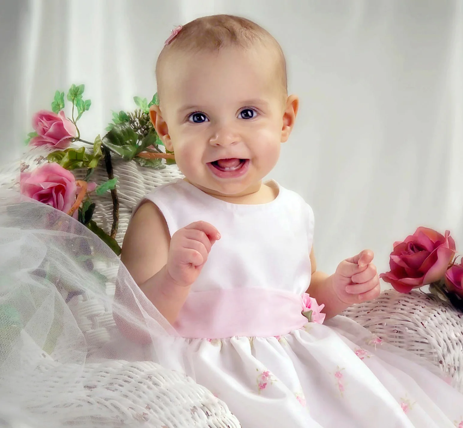 D7296583WK.jpg