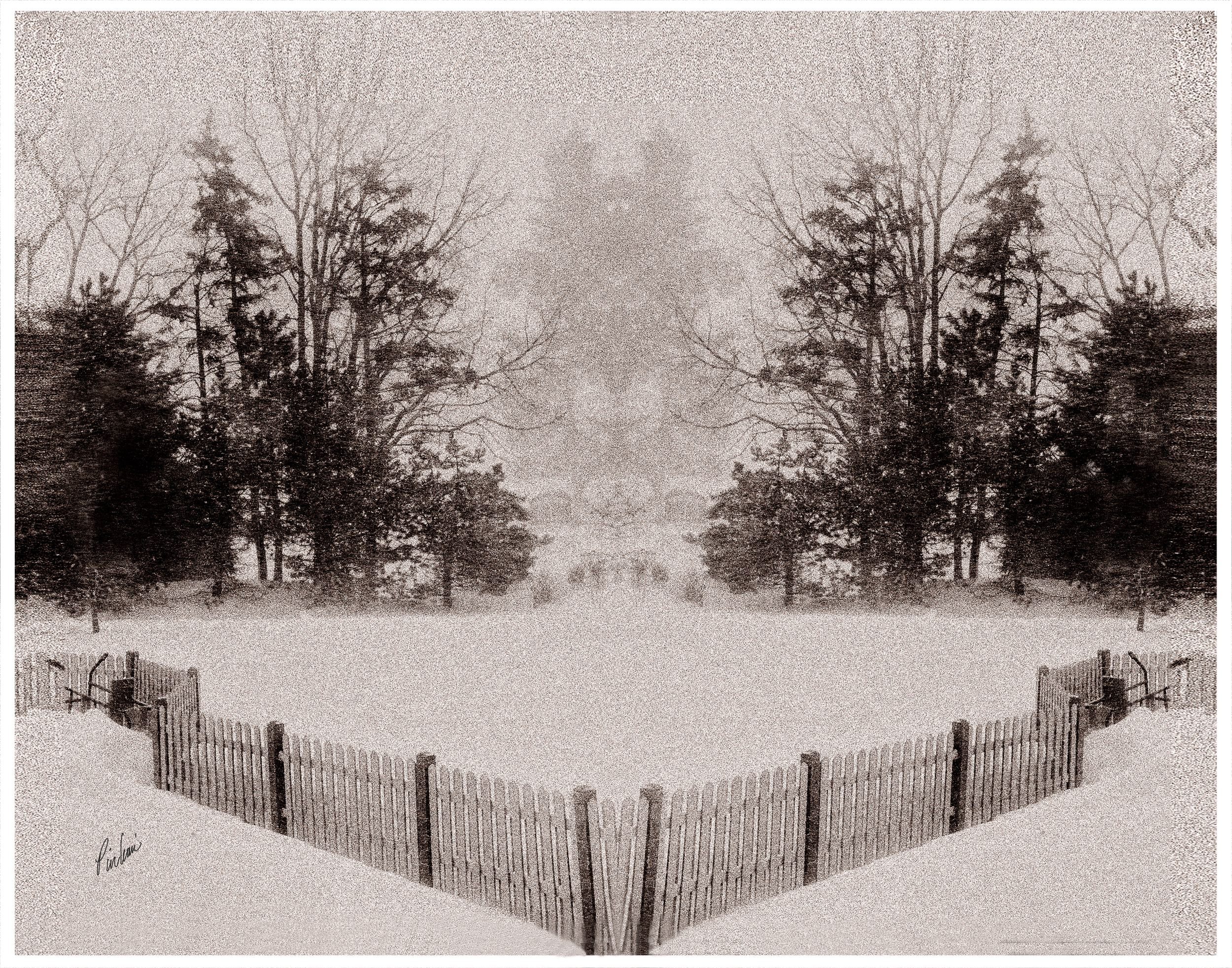 WINTER STORM 11x14 .jpg