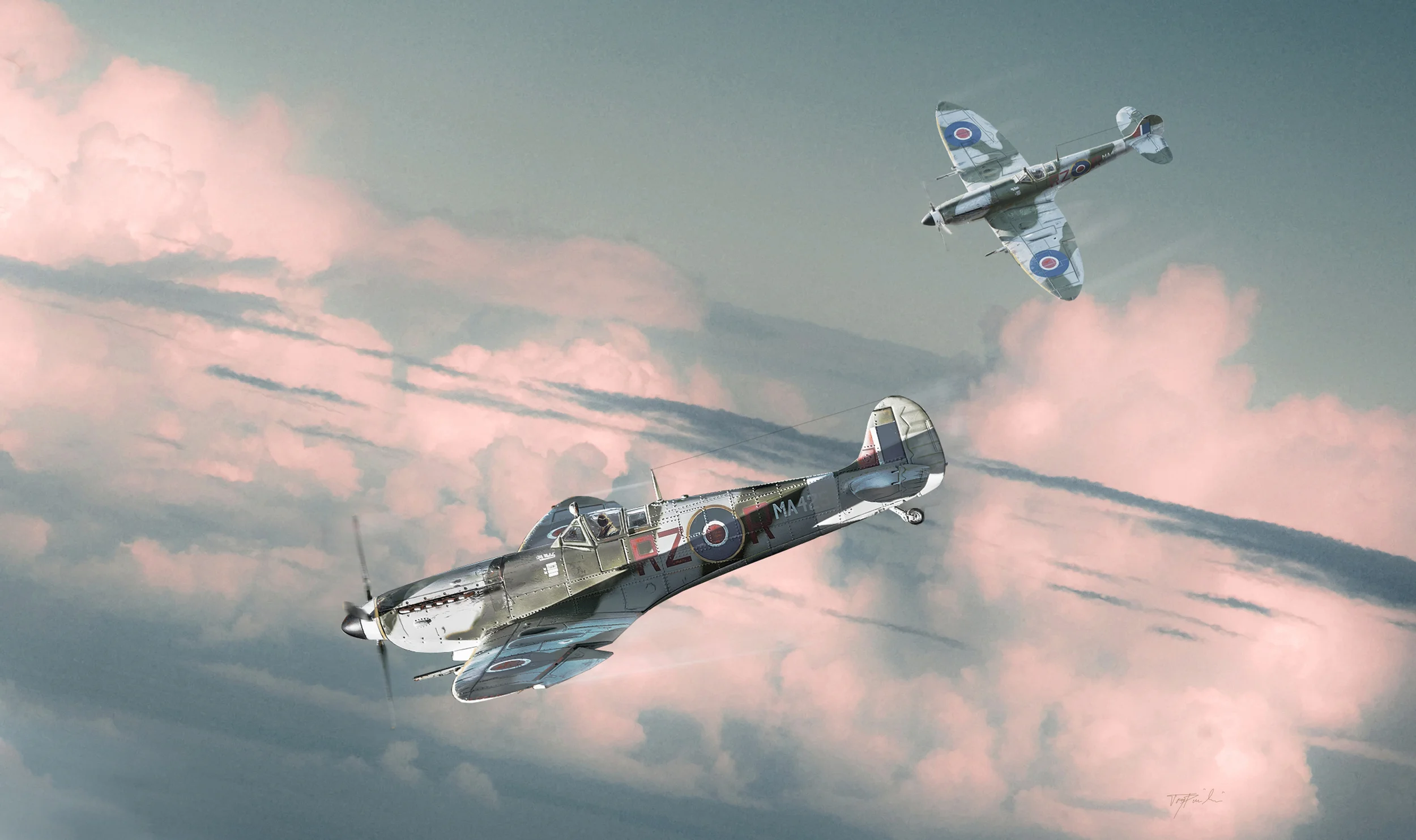 SPITFIRE and WINGMAN.jpg