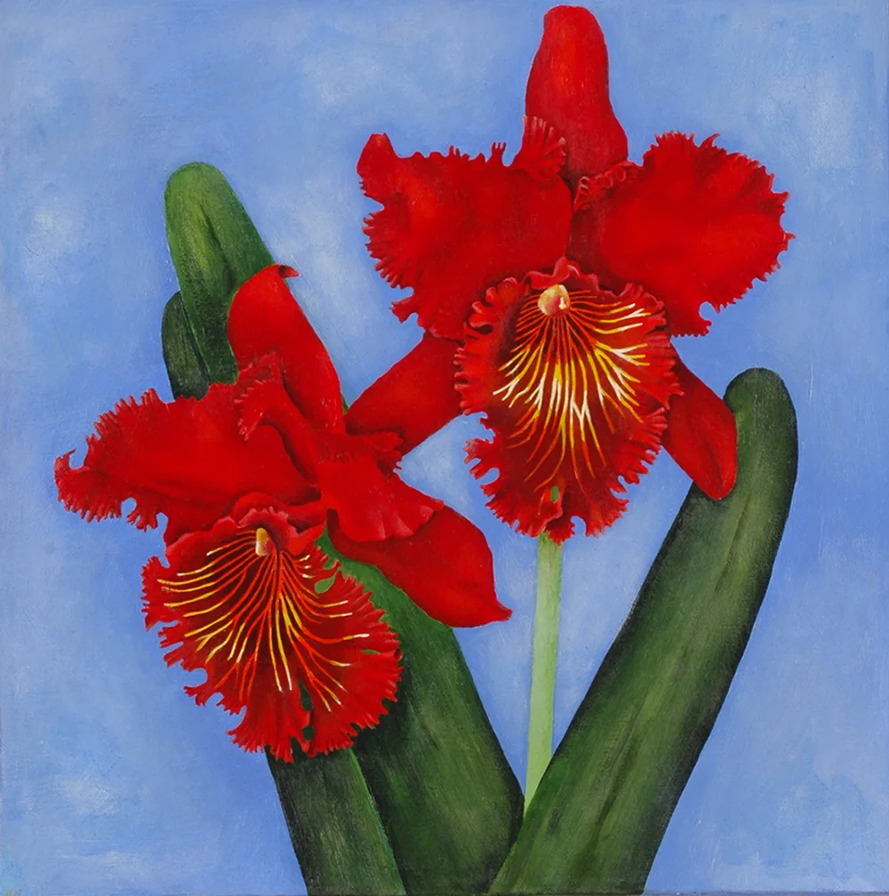 Red Cattleya - Christmas Orchids in Bloom