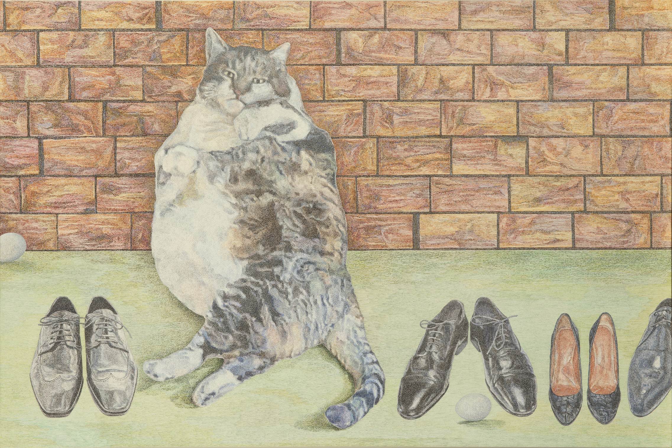 Shoe Kitty
