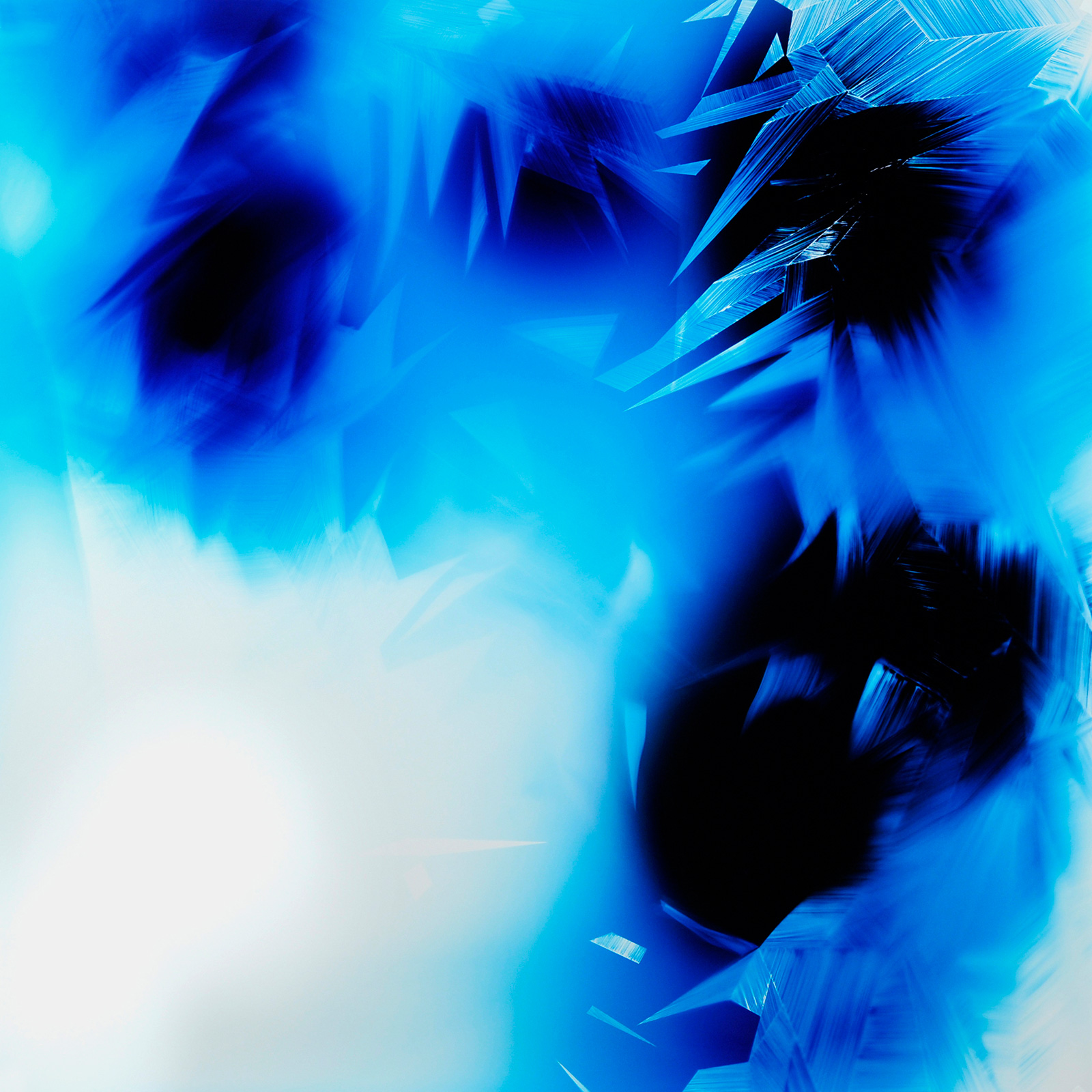 Immersed Boundary