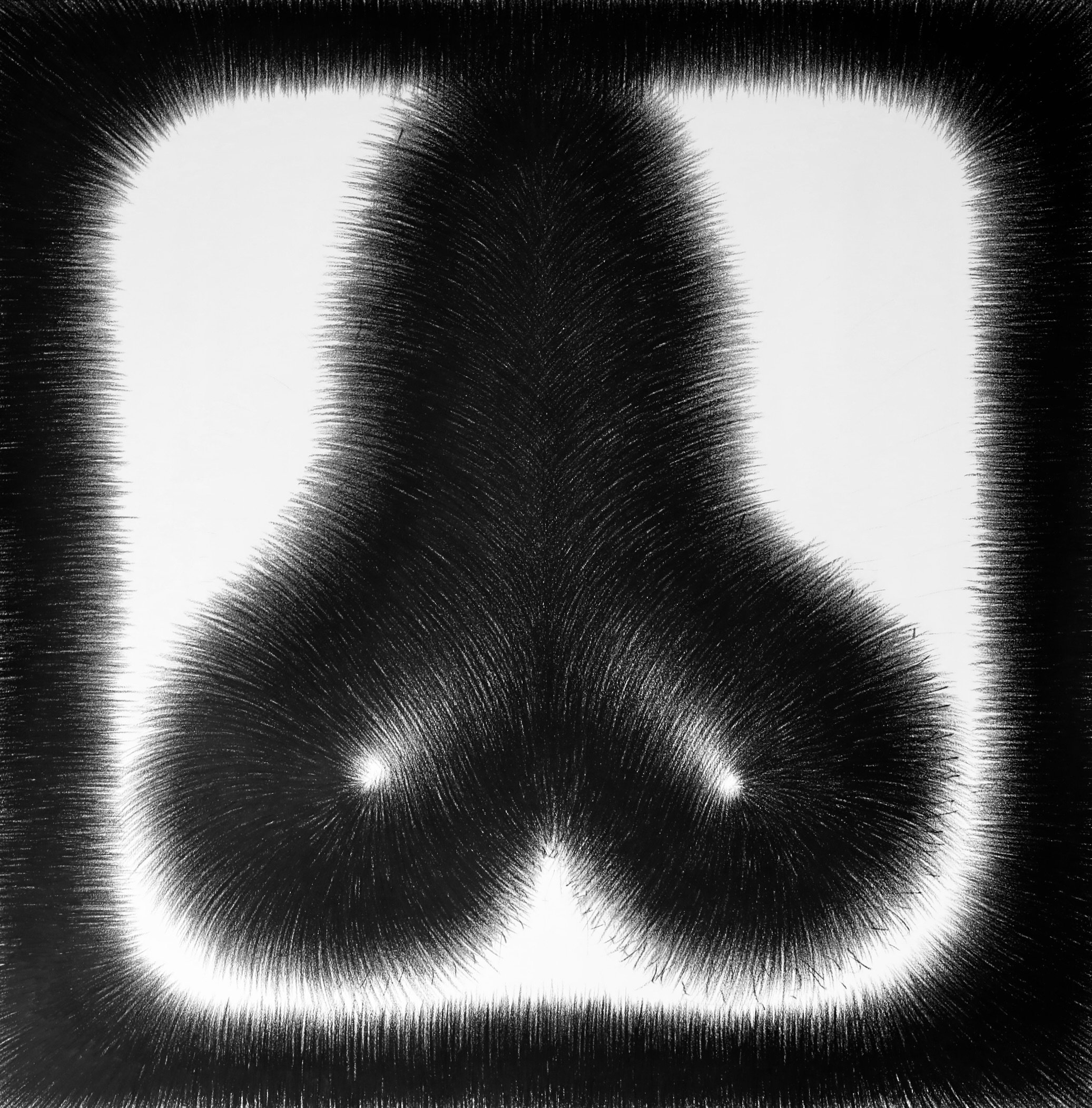 Untitled 1.JPG