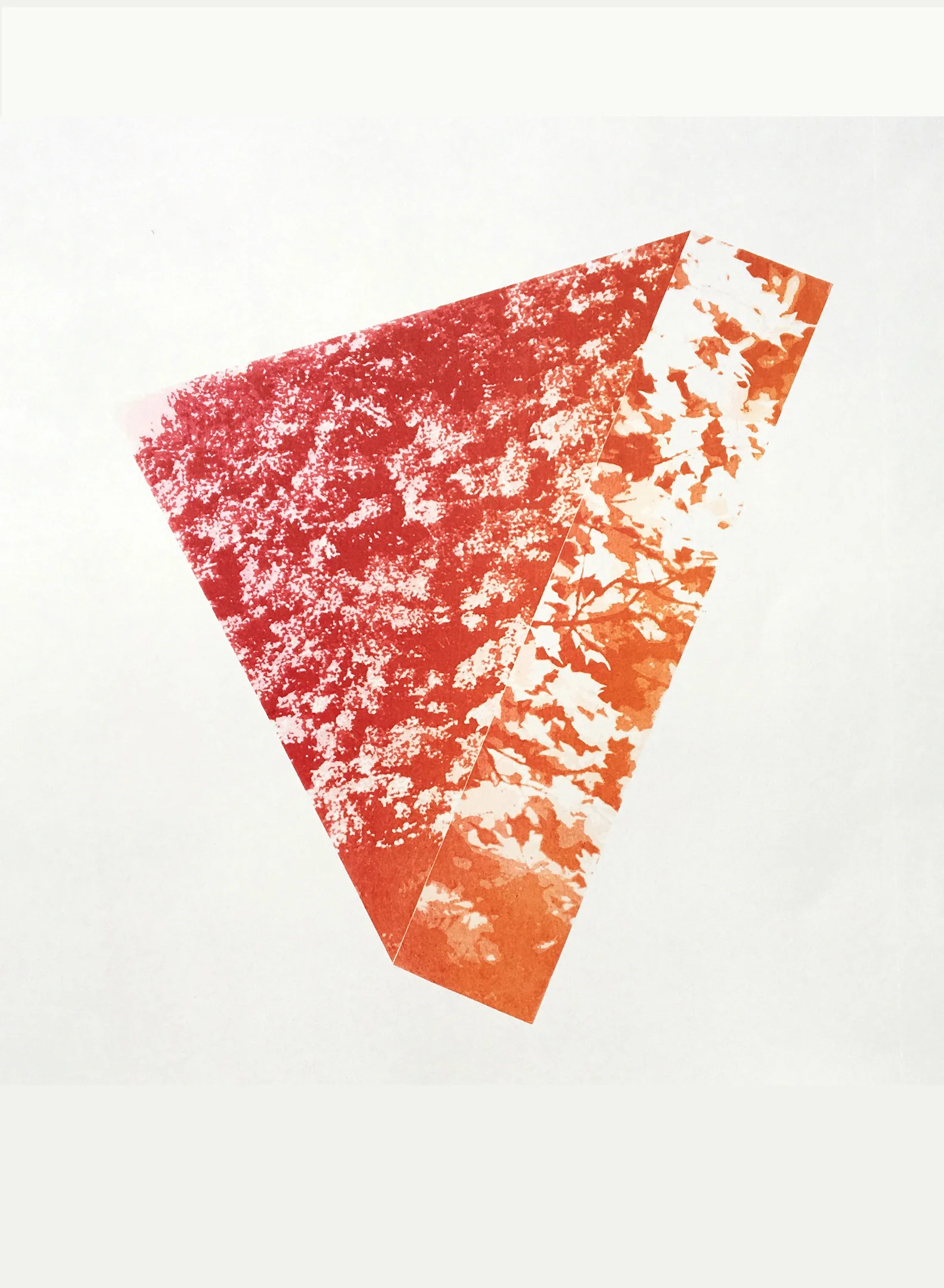 Slice of Maples